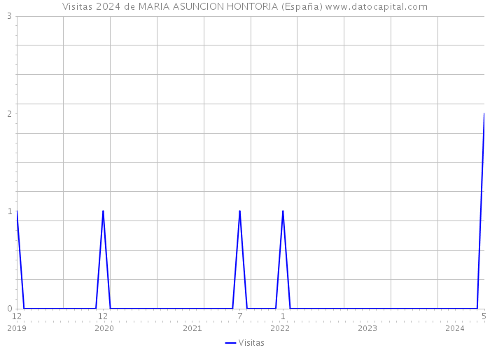 Visitas 2024 de MARIA ASUNCION HONTORIA (España) 