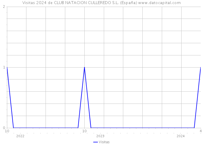 Visitas 2024 de CLUB NATACION CULLEREDO S.L. (España) 