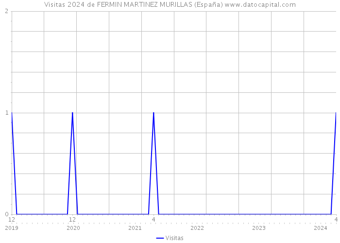Visitas 2024 de FERMIN MARTINEZ MURILLAS (España) 