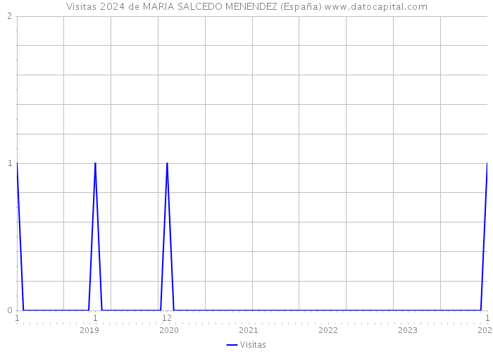 Visitas 2024 de MARIA SALCEDO MENENDEZ (España) 