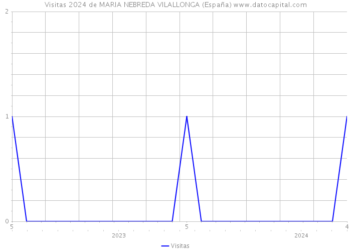 Visitas 2024 de MARIA NEBREDA VILALLONGA (España) 