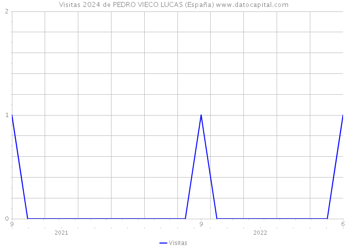 Visitas 2024 de PEDRO VIECO LUCAS (España) 
