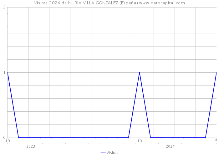 Visitas 2024 de NURIA VILLA GONZALEZ (España) 
