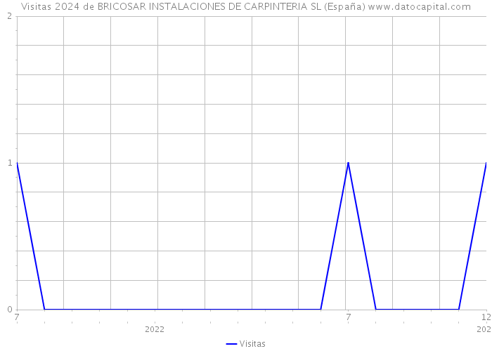Visitas 2024 de BRICOSAR INSTALACIONES DE CARPINTERIA SL (España) 