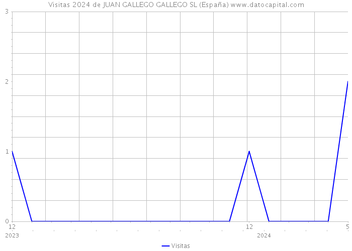 Visitas 2024 de JUAN GALLEGO GALLEGO SL (España) 