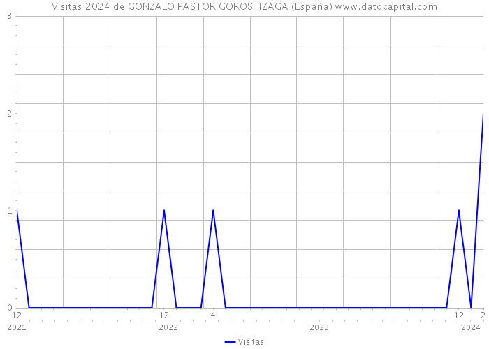 Visitas 2024 de GONZALO PASTOR GOROSTIZAGA (España) 