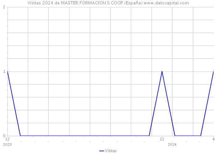 Visitas 2024 de MASTER FORMACION S COOP (España) 