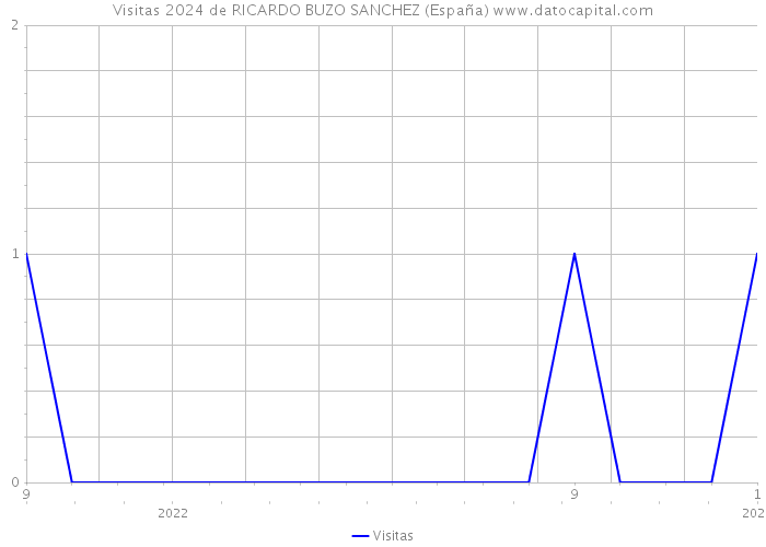 Visitas 2024 de RICARDO BUZO SANCHEZ (España) 