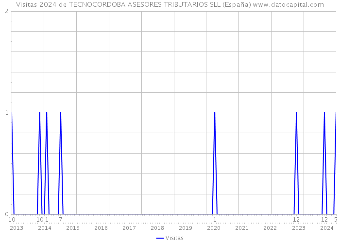 Visitas 2024 de TECNOCORDOBA ASESORES TRIBUTARIOS SLL (España) 