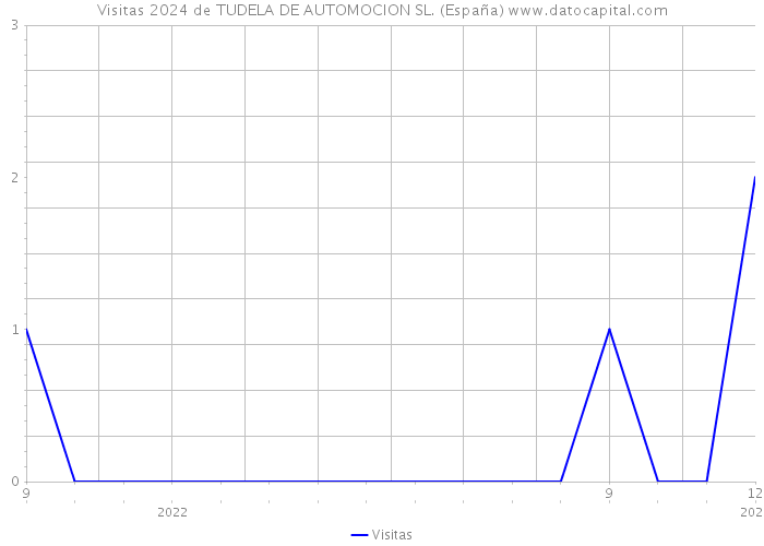 Visitas 2024 de TUDELA DE AUTOMOCION SL. (España) 