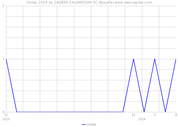 Visitas 2024 de CADESA CALAMOCHA SC (España) 