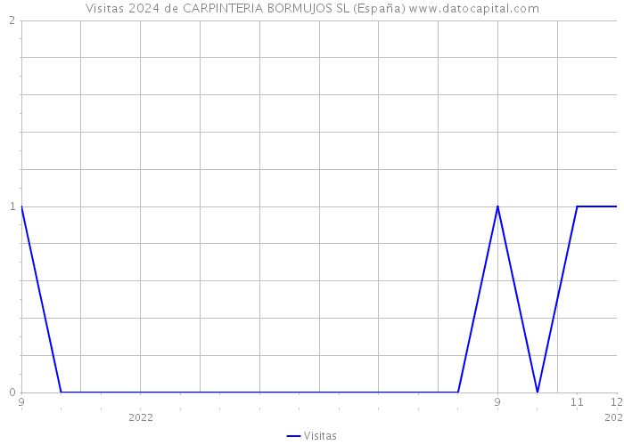 Visitas 2024 de CARPINTERIA BORMUJOS SL (España) 