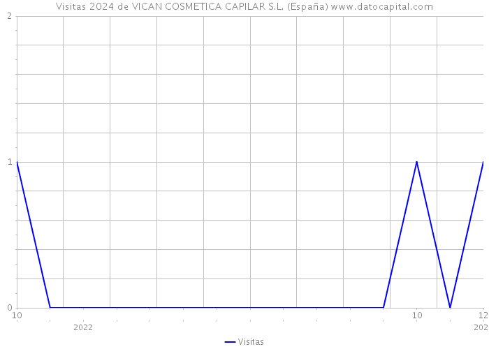 Visitas 2024 de VICAN COSMETICA CAPILAR S.L. (España) 