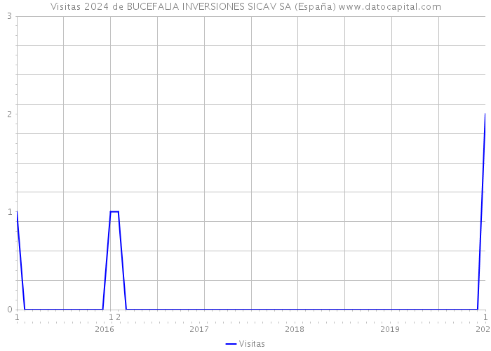 Visitas 2024 de BUCEFALIA INVERSIONES SICAV SA (España) 