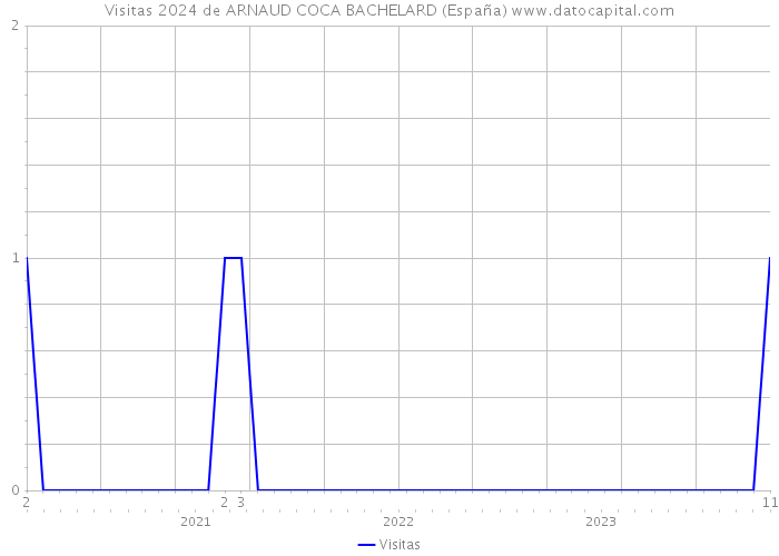 Visitas 2024 de ARNAUD COCA BACHELARD (España) 