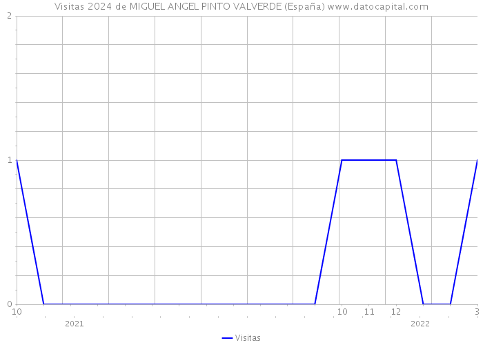 Visitas 2024 de MIGUEL ANGEL PINTO VALVERDE (España) 