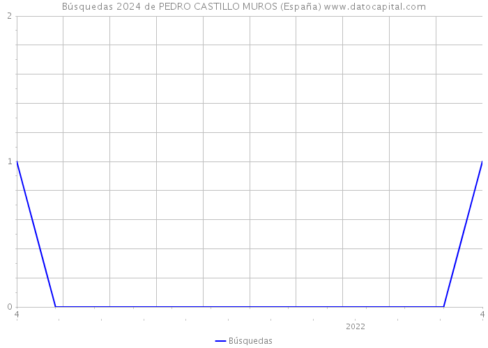 Búsquedas 2024 de PEDRO CASTILLO MUROS (España) 