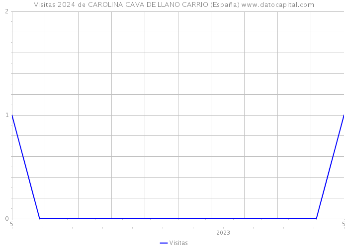 Visitas 2024 de CAROLINA CAVA DE LLANO CARRIO (España) 