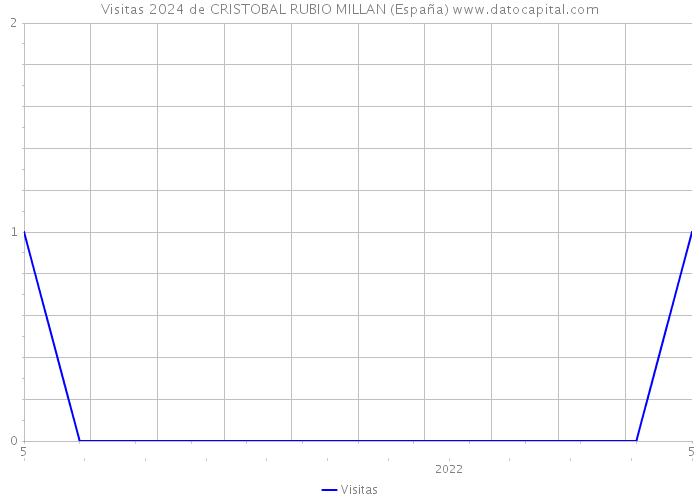 Visitas 2024 de CRISTOBAL RUBIO MILLAN (España) 