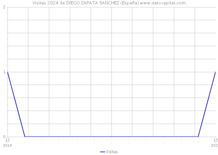 Visitas 2024 de DIEGO ZAPATA SANCHEZ (España) 