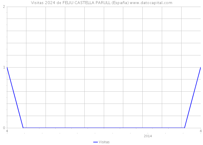Visitas 2024 de FELIU CASTELLA PARULL (España) 