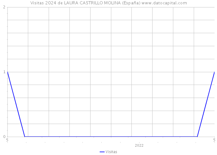 Visitas 2024 de LAURA CASTRILLO MOLINA (España) 