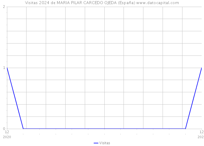 Visitas 2024 de MARIA PILAR CARCEDO OJEDA (España) 
