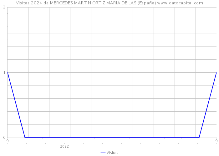 Visitas 2024 de MERCEDES MARTIN ORTIZ MARIA DE LAS (España) 