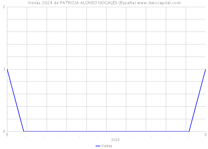 Visitas 2024 de PATRICIA ALONSO NOGALES (España) 