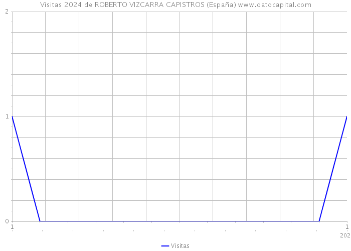 Visitas 2024 de ROBERTO VIZCARRA CAPISTROS (España) 