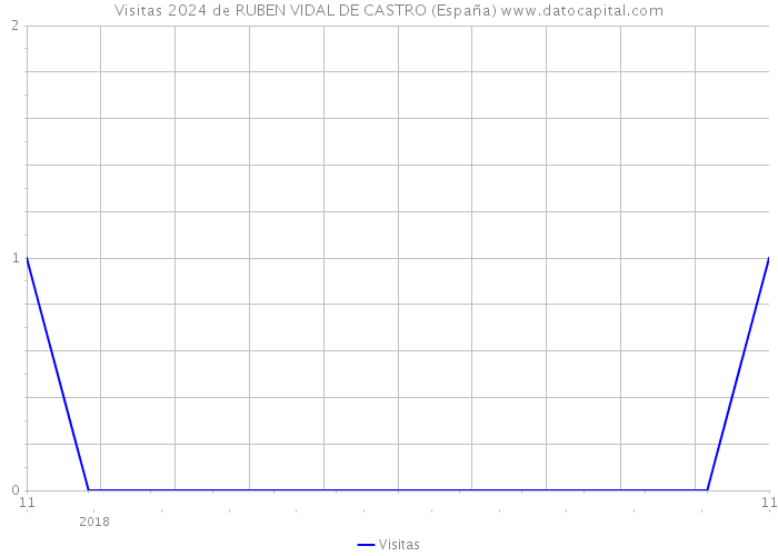 Visitas 2024 de RUBEN VIDAL DE CASTRO (España) 