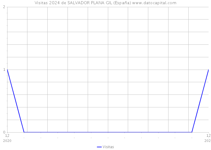 Visitas 2024 de SALVADOR PLANA GIL (España) 