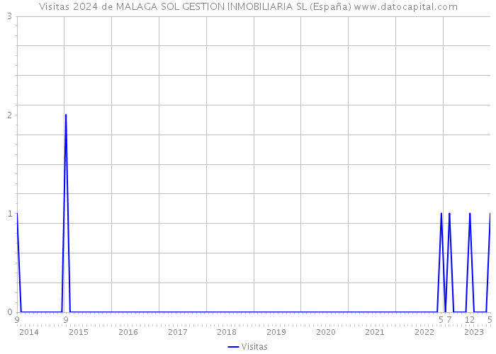 Visitas 2024 de MALAGA SOL GESTION INMOBILIARIA SL (España) 