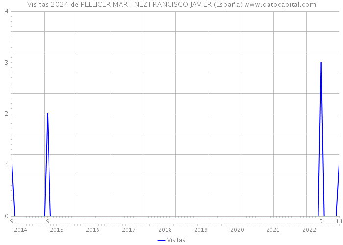 Visitas 2024 de PELLICER MARTINEZ FRANCISCO JAVIER (España) 