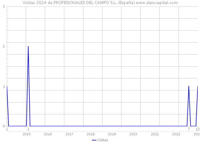 Visitas 2024 de PROFESIONALES DEL CAMPO S.L. (España) 