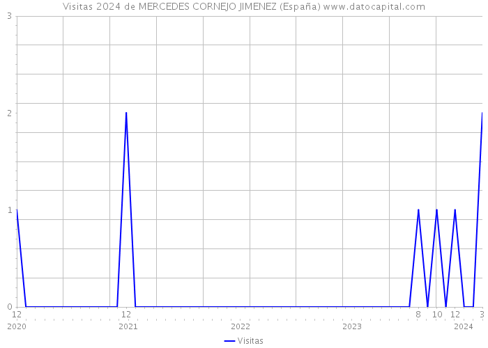 Visitas 2024 de MERCEDES CORNEJO JIMENEZ (España) 