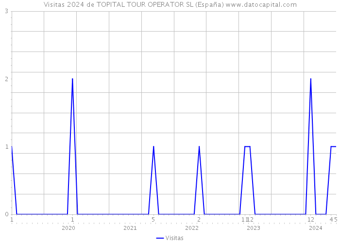 Visitas 2024 de TOPITAL TOUR OPERATOR SL (España) 