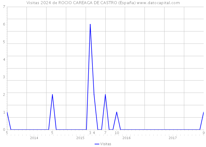 Visitas 2024 de ROCIO CAREAGA DE CASTRO (España) 