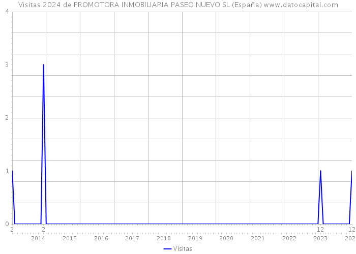 Visitas 2024 de PROMOTORA INMOBILIARIA PASEO NUEVO SL (España) 