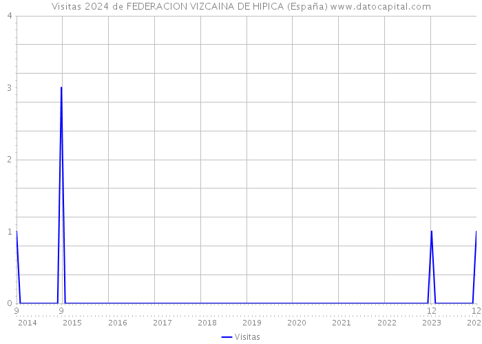 Visitas 2024 de FEDERACION VIZCAINA DE HIPICA (España) 