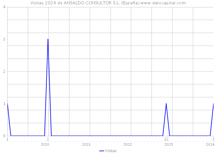 Visitas 2024 de ANSALDO CONSULTOR S.L. (España) 