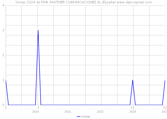 Visitas 2024 de PINK PANTHER COMUNICACIONES SL (España) 