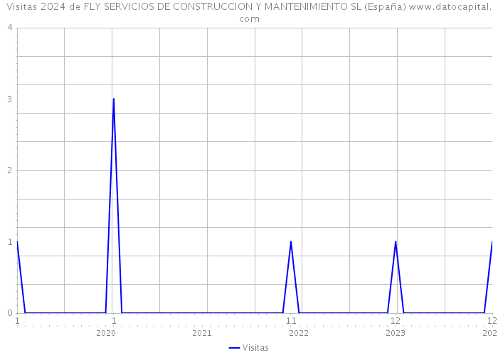 Visitas 2024 de FLY SERVICIOS DE CONSTRUCCION Y MANTENIMIENTO SL (España) 