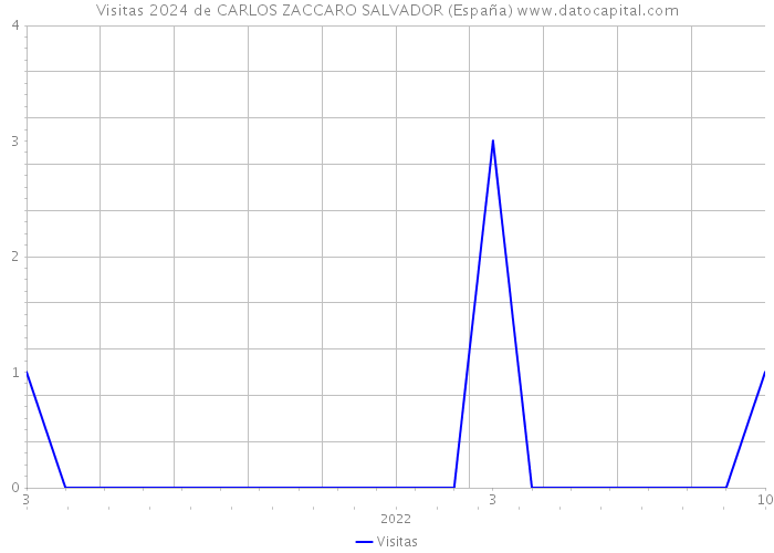 Visitas 2024 de CARLOS ZACCARO SALVADOR (España) 