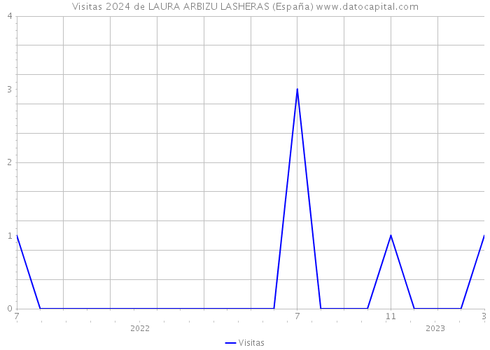 Visitas 2024 de LAURA ARBIZU LASHERAS (España) 