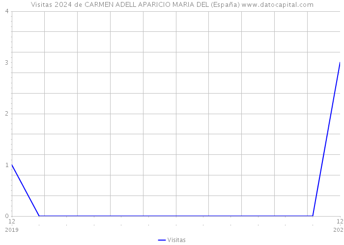 Visitas 2024 de CARMEN ADELL APARICIO MARIA DEL (España) 