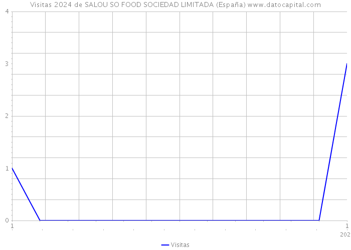 Visitas 2024 de SALOU SO FOOD SOCIEDAD LIMITADA (España) 