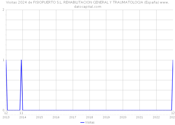 Visitas 2024 de FISIOPUERTO S.L. REHABILITACION GENERAL Y TRAUMATOLOGIA (España) 