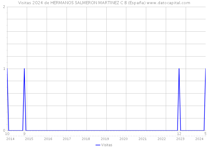 Visitas 2024 de HERMANOS SALMERON MARTINEZ C B (España) 