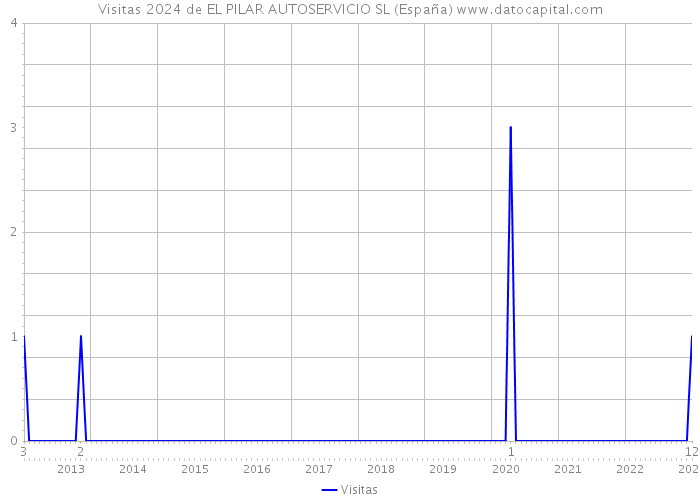 Visitas 2024 de EL PILAR AUTOSERVICIO SL (España) 